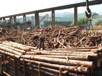 Unloading Timber at the Bakailsk Paper Mill. Bakailisk Paper Mill in Buryatia is one of the major polluters of Lake Baikal.