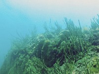 Baikal Underwater Relief