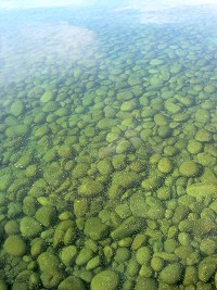 Colour of lake Baikal water